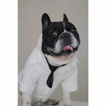 Модная белая рубашка с галстуком для домашних собак, одежда для маленьких средних собак, аксессуары для одежды для французского бульдога, ризеншнауцера, мопса ZLC55